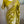 Load image into Gallery viewer, Neon Green Banarasi Khaddi Georgette Silver Zari Saree With Stitched Blouse