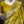 Load image into Gallery viewer, Neon Green Banarasi Khaddi Georgette Silver Zari Saree With Stitched Blouse