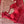 Load image into Gallery viewer, Red Banarasi Khaddi Georgette Saree with Stitched Blouse