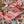 Load image into Gallery viewer, Coral Peach/Red Floral Linen Saree with Stitched Blouse