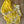 Load image into Gallery viewer, Yellow Banarasi Pure Chiffon Saree with Stitched Blouse