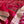 Load image into Gallery viewer, Magenta Pink Chanderi Silk Saree With Stitched Blouse