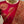 Load image into Gallery viewer, Hot Pink Indian Brocade Designer Blouse