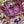 Load image into Gallery viewer, Purple Floral Linen with Stitched Blouse
