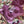 Load image into Gallery viewer, Purple Floral Linen with Stitched Blouse