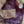Load image into Gallery viewer, Wine Color Banarasi Khaddi Georgette Saree with Stitched Blouse size 38