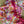 Load image into Gallery viewer, Pink Floral Linen Saree with Stitched Blouse