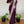 Load image into Gallery viewer, Aubergine/Dark Purple Banarasi Chiffon Saree with Designer Blouse