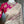 Load image into Gallery viewer, Magenta Pure Silk Indian Brocade Designer Blouse