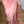 Load image into Gallery viewer, Peach Tussar Georgette Sona Rupa Kaduwa Banarasi Saree