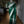 Load image into Gallery viewer, Bottle Green Banarasi Chiffon Saree with Designer Blouse