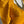 Load image into Gallery viewer, Marigold Yellow Crinkled Georgette Saree with Stitched Blouse