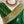 Load image into Gallery viewer, Bottle Green Kora Banarasi Saree