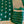 Load image into Gallery viewer, Bottle Green Kora Banarasi Saree