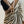 Load image into Gallery viewer, Black/Beige Tissue Silk Banarasi Saree