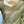 Load image into Gallery viewer, Sage Green Embroidered Designer Blouse