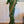 Load image into Gallery viewer, Bottle Green Banarasi Khaddi Georgette Saree with stitched blouse
