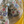 Load image into Gallery viewer, Yellow Banarasi Pure Chiffon Saree with Stitched Blouse