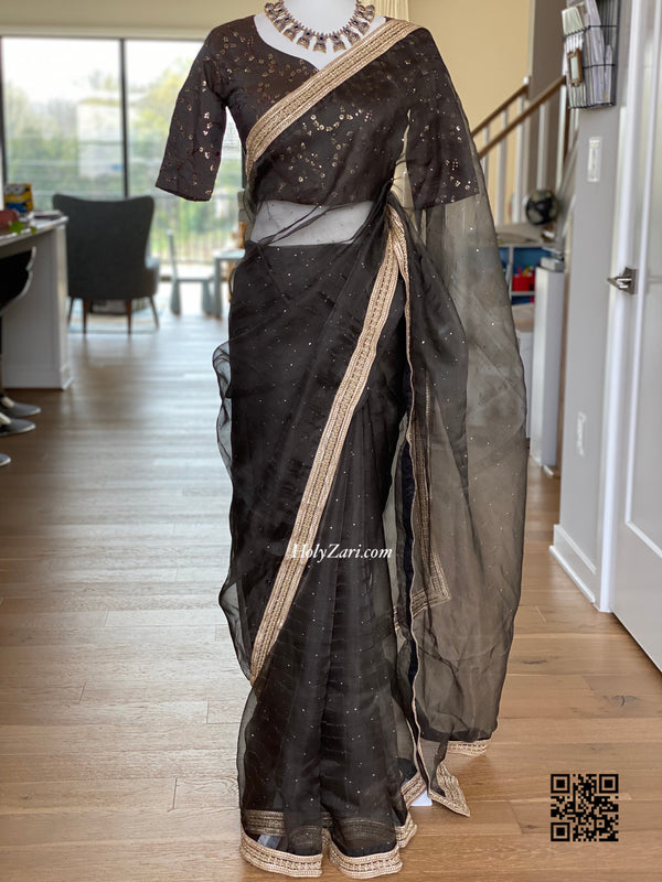 Light Brown Organza Saree with embroidered/sequins designer blouse
